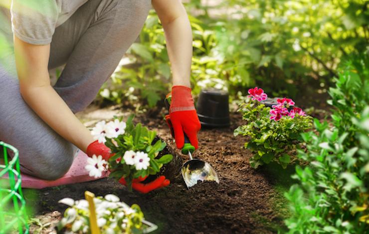 Comment payer un jardinier occasionnel ?